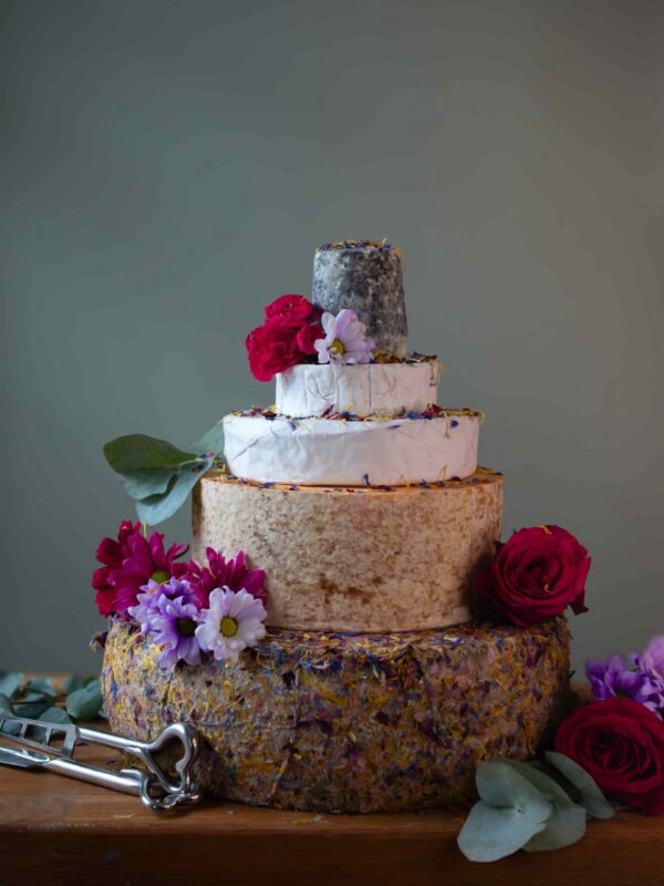 The Beauty And The Bloom