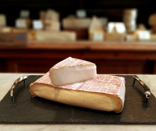 Taleggio