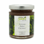 Autumn Apple Chutney