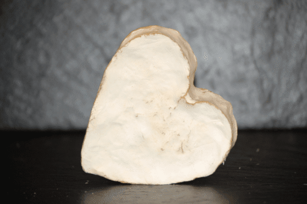 Coeur de Neufchatel Brie Heart Cheese