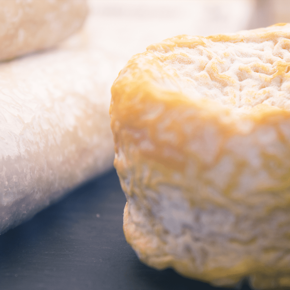 Petit Langres Cheese